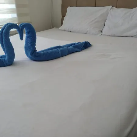 Altin Pansiyon Aparthotel *